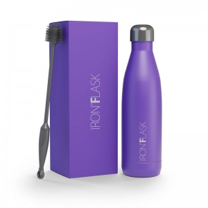 Iron Flask 25 Oz Retro Water Bottle Purple | 217QZMPWC