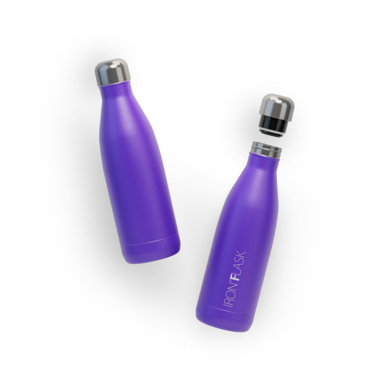 Iron Flask 17 Oz Retro Water Bottle Purple | 754EWTCRN